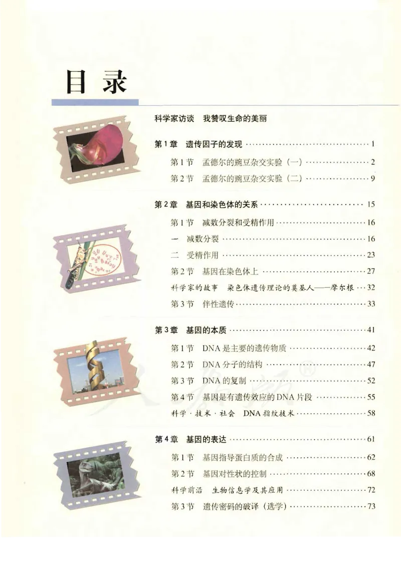 人教版高中生物必修2遗传与进化课本_4-教培资料-26年最新资料-同步更新_初中高中教资_03科三专项（进去保存报考的学科即可）_02科三专项（笔记真题思维导图教学设计版本二）