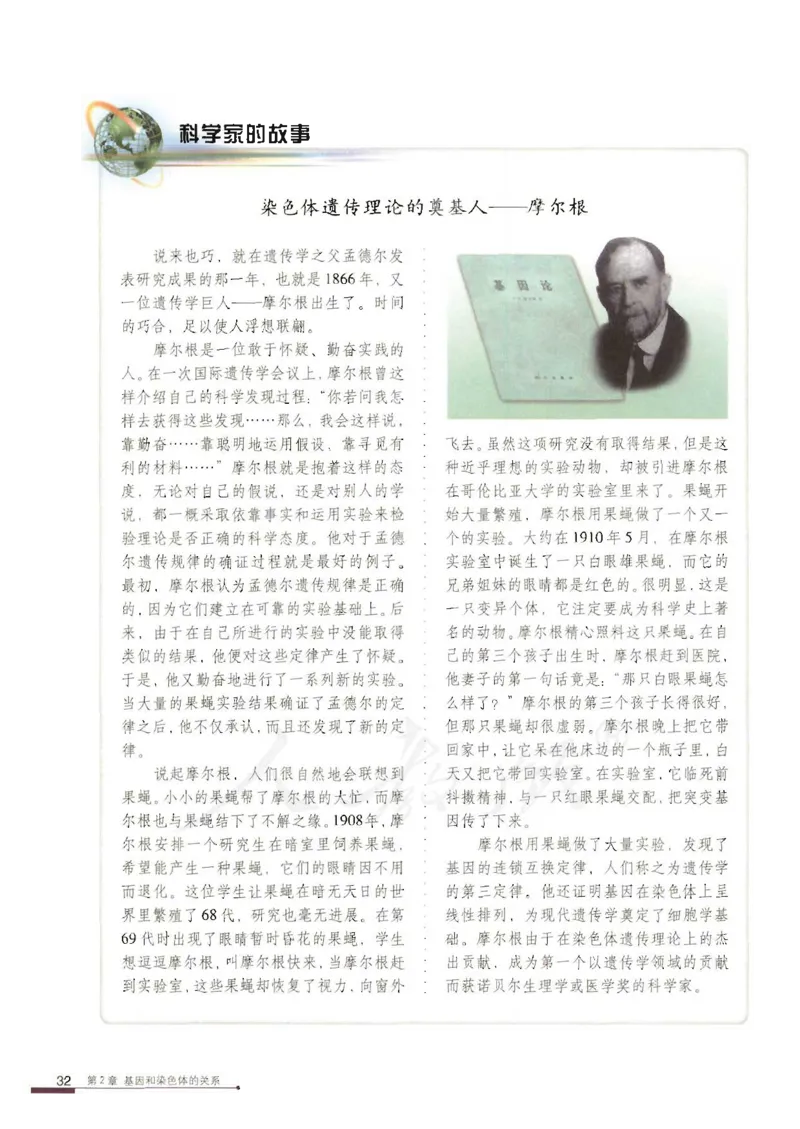 人教版高中生物必修2遗传与进化课本_4-教培资料-26年最新资料-同步更新_初中高中教资_03科三专项（进去保存报考的学科即可）_02科三专项（笔记真题思维导图教学设计版本二）