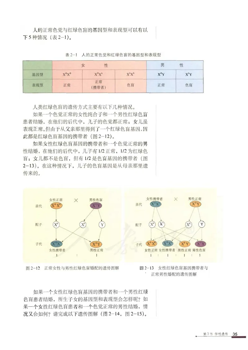 人教版高中生物必修2遗传与进化课本_4-教培资料-26年最新资料-同步更新_初中高中教资_03科三专项（进去保存报考的学科即可）_02科三专项（笔记真题思维导图教学设计版本二）