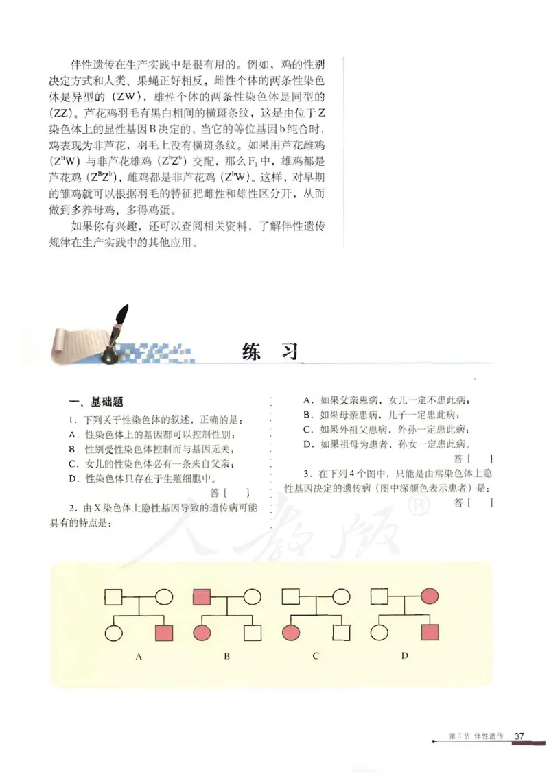 人教版高中生物必修2遗传与进化课本_4-教培资料-26年最新资料-同步更新_初中高中教资_03科三专项（进去保存报考的学科即可）_02科三专项（笔记真题思维导图教学设计版本二）