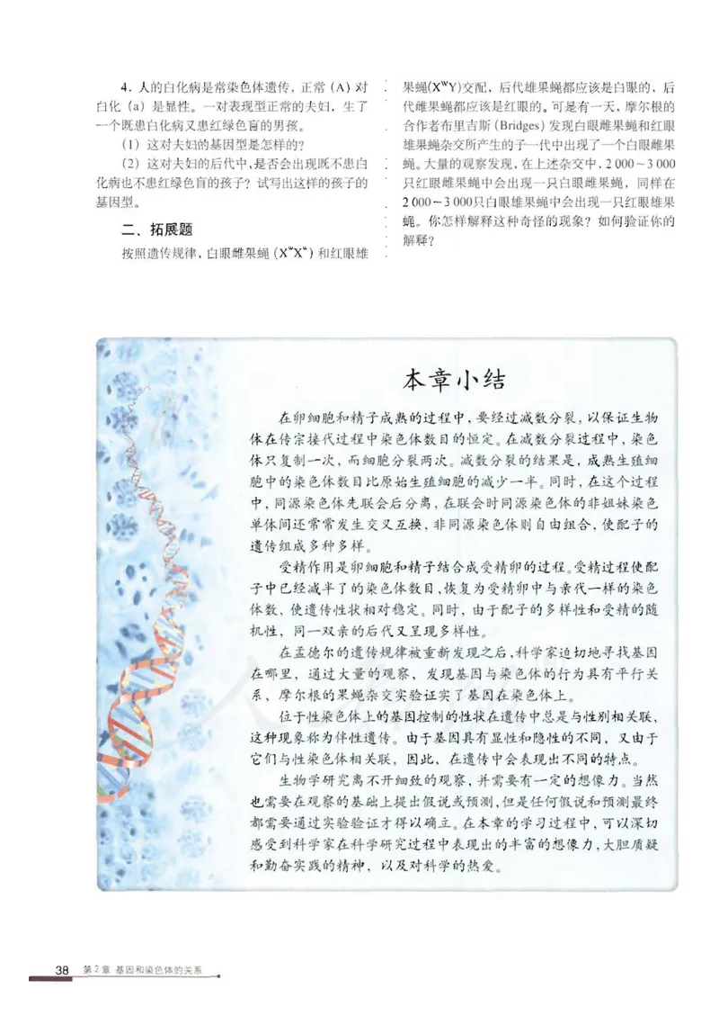 人教版高中生物必修2遗传与进化课本_4-教培资料-26年最新资料-同步更新_初中高中教资_03科三专项（进去保存报考的学科即可）_02科三专项（笔记真题思维导图教学设计版本二）