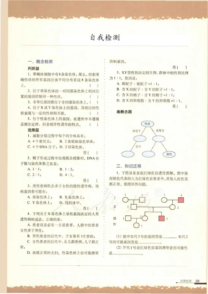 人教版高中生物必修2遗传与进化课本_4-教培资料-26年最新资料-同步更新_初中高中教资_03科三专项（进去保存报考的学科即可）_02科三专项（笔记真题思维导图教学设计版本二）