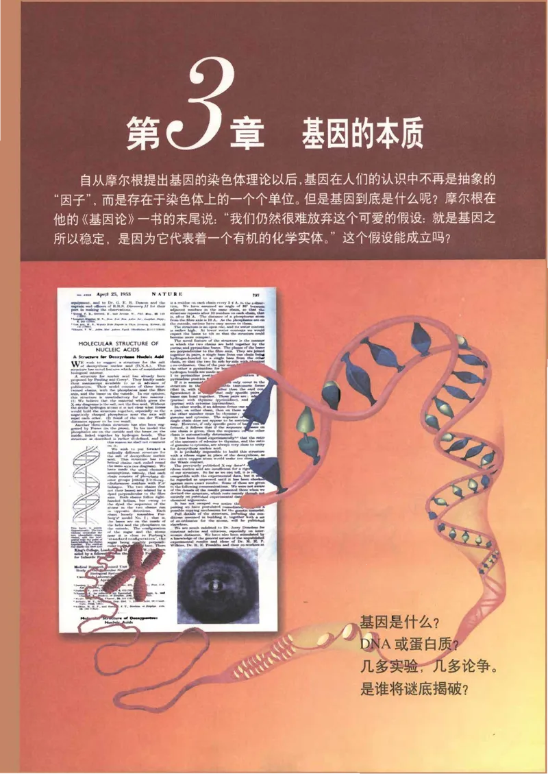 人教版高中生物必修2遗传与进化课本_4-教培资料-26年最新资料-同步更新_初中高中教资_03科三专项（进去保存报考的学科即可）_02科三专项（笔记真题思维导图教学设计版本二）