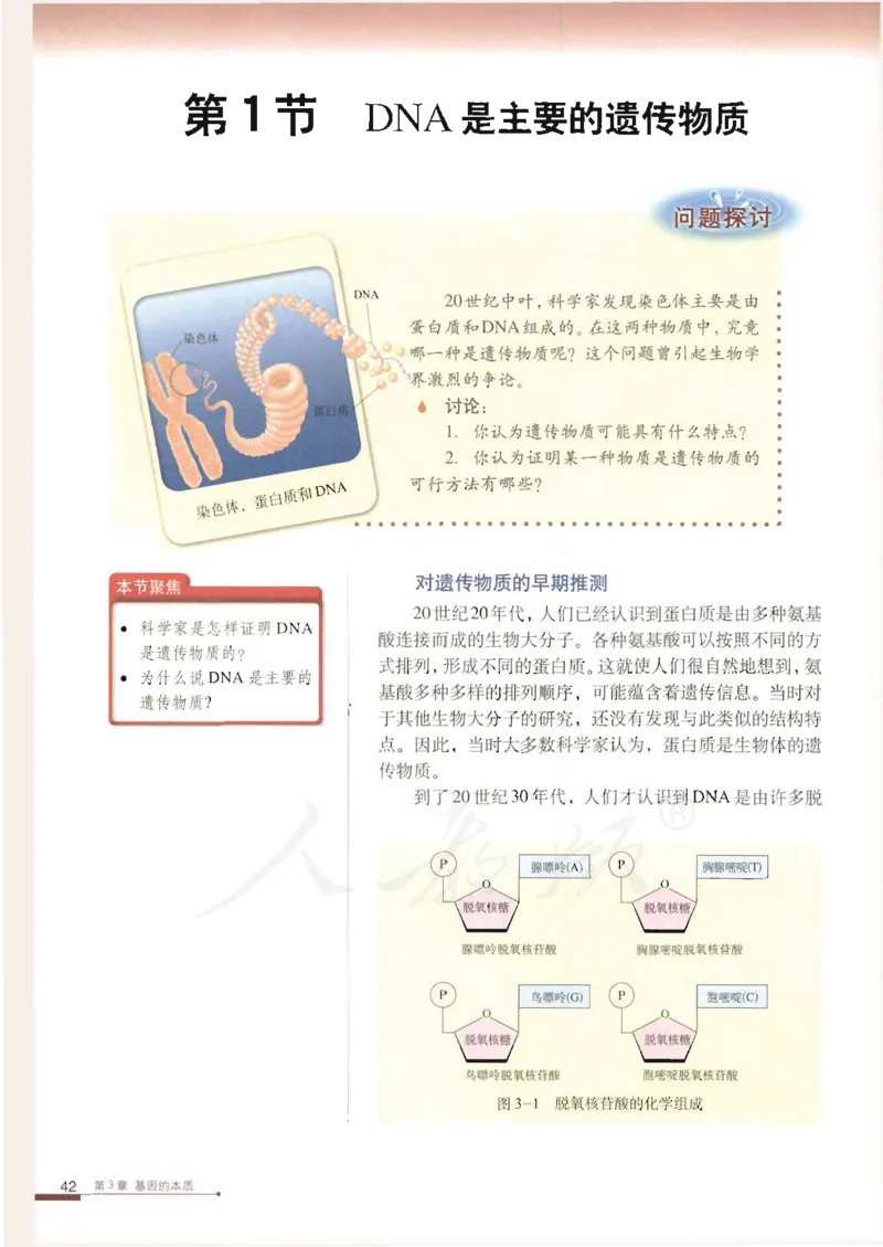人教版高中生物必修2遗传与进化课本_4-教培资料-26年最新资料-同步更新_初中高中教资_03科三专项（进去保存报考的学科即可）_02科三专项（笔记真题思维导图教学设计版本二）