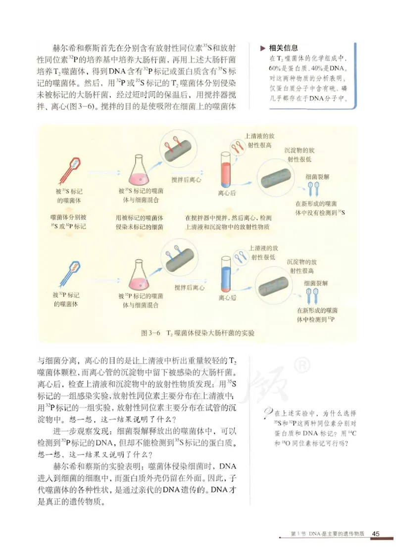 人教版高中生物必修2遗传与进化课本_4-教培资料-26年最新资料-同步更新_初中高中教资_03科三专项（进去保存报考的学科即可）_02科三专项（笔记真题思维导图教学设计版本二）