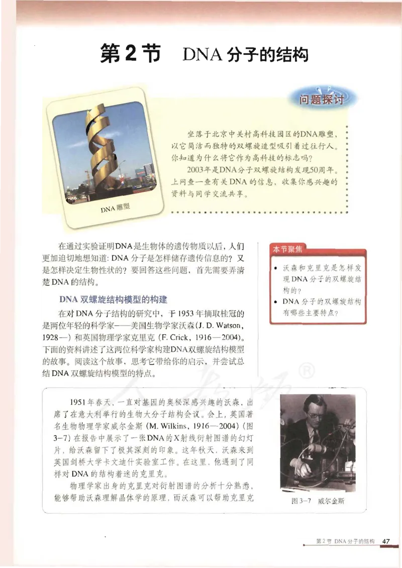 人教版高中生物必修2遗传与进化课本_4-教培资料-26年最新资料-同步更新_初中高中教资_03科三专项（进去保存报考的学科即可）_02科三专项（笔记真题思维导图教学设计版本二）