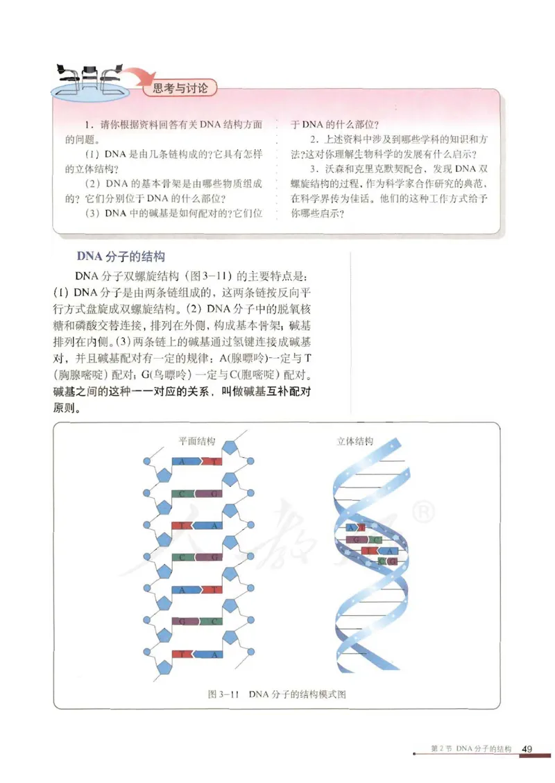人教版高中生物必修2遗传与进化课本_4-教培资料-26年最新资料-同步更新_初中高中教资_03科三专项（进去保存报考的学科即可）_02科三专项（笔记真题思维导图教学设计版本二）