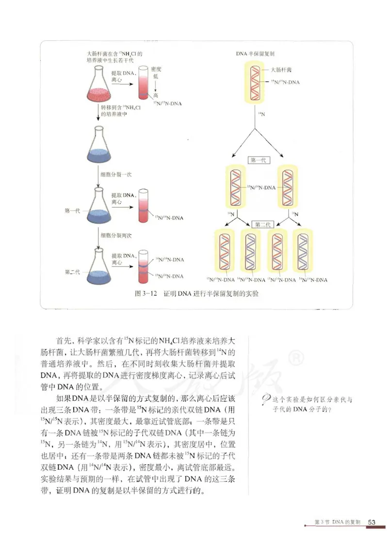 人教版高中生物必修2遗传与进化课本_4-教培资料-26年最新资料-同步更新_初中高中教资_03科三专项（进去保存报考的学科即可）_02科三专项（笔记真题思维导图教学设计版本二）