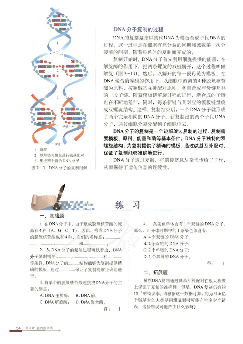 人教版高中生物必修2遗传与进化课本_4-教培资料-26年最新资料-同步更新_初中高中教资_03科三专项（进去保存报考的学科即可）_02科三专项（笔记真题思维导图教学设计版本二）
