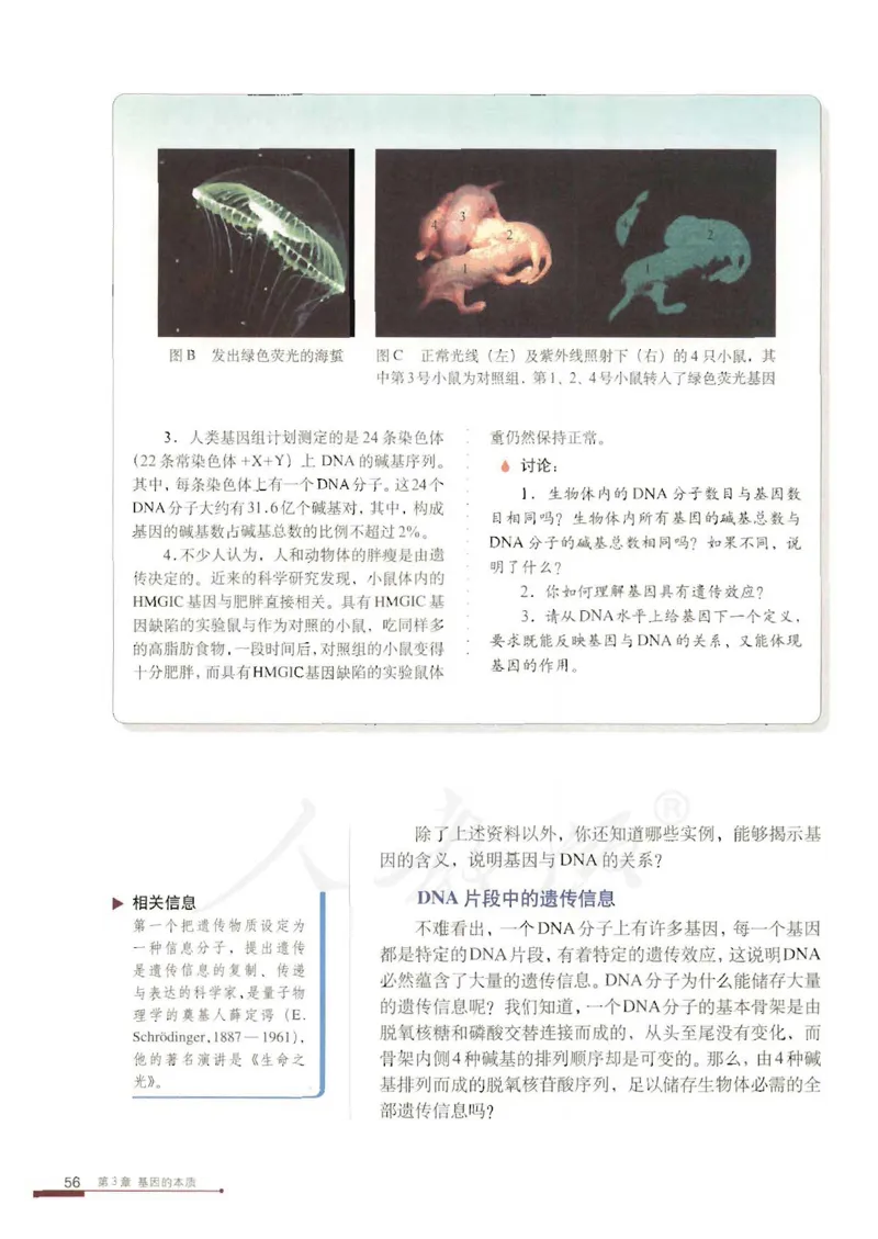 人教版高中生物必修2遗传与进化课本_4-教培资料-26年最新资料-同步更新_初中高中教资_03科三专项（进去保存报考的学科即可）_02科三专项（笔记真题思维导图教学设计版本二）