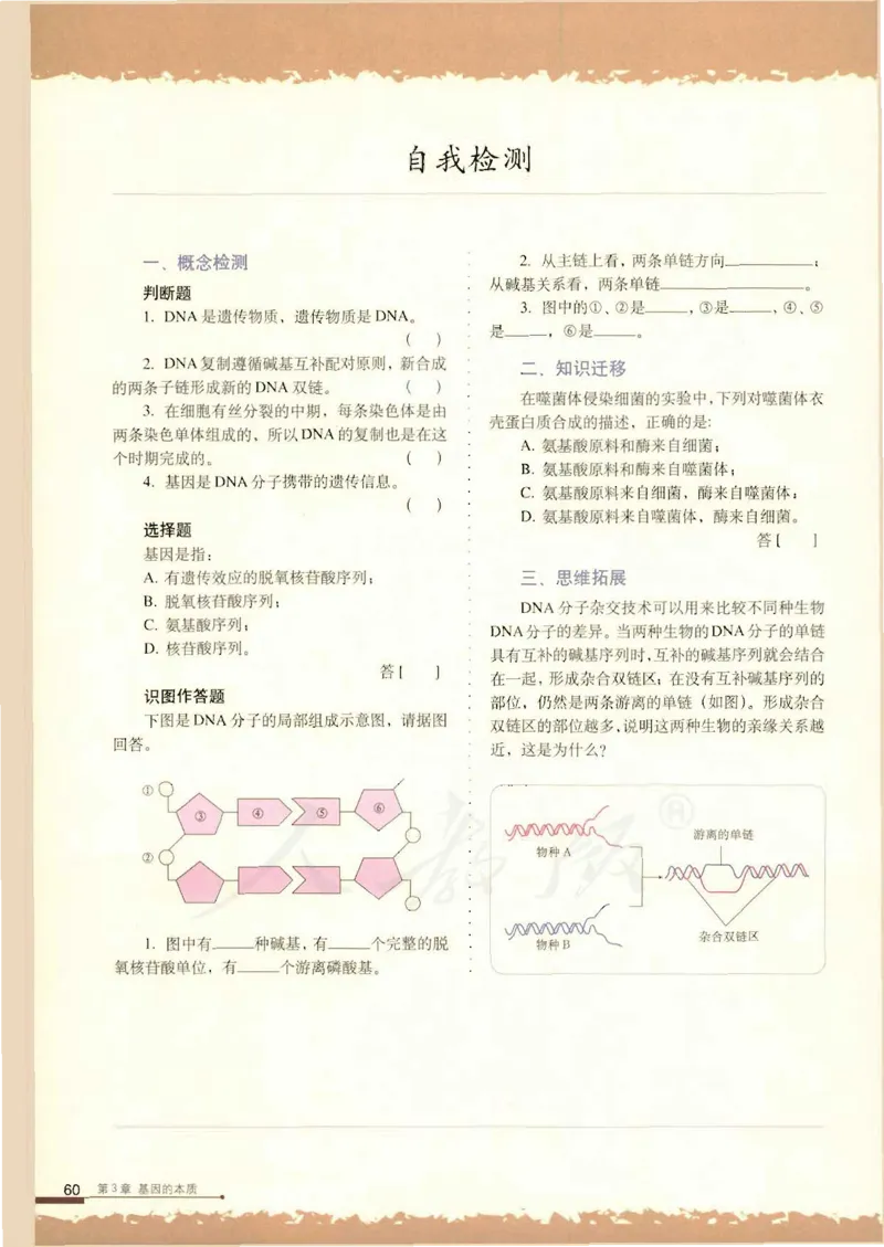 人教版高中生物必修2遗传与进化课本_4-教培资料-26年最新资料-同步更新_初中高中教资_03科三专项（进去保存报考的学科即可）_02科三专项（笔记真题思维导图教学设计版本二）
