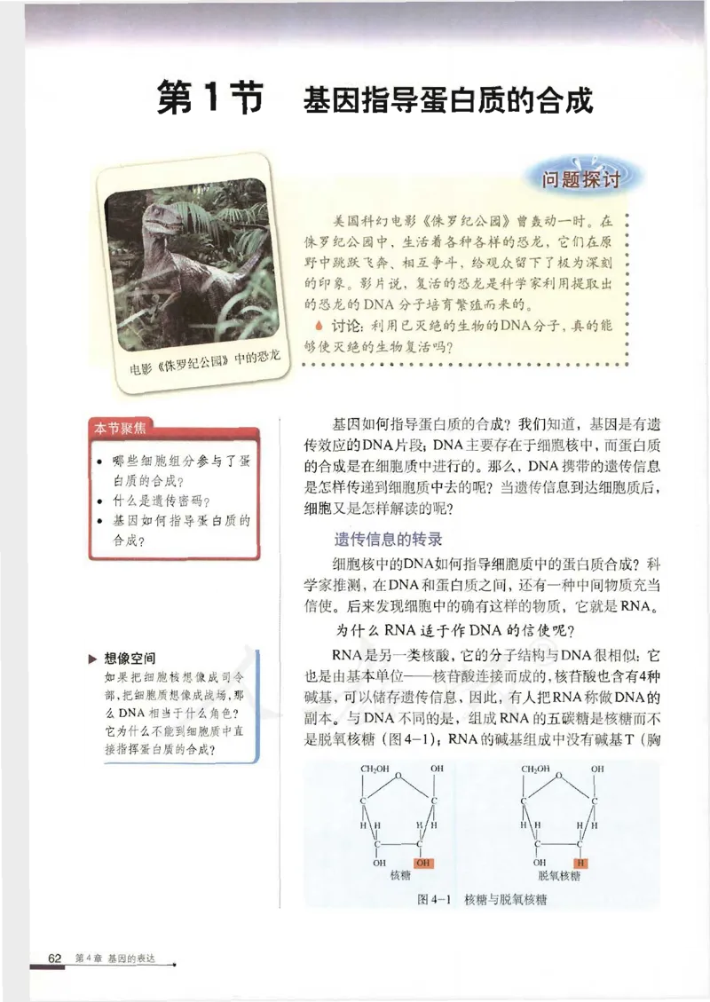 人教版高中生物必修2遗传与进化课本_4-教培资料-26年最新资料-同步更新_初中高中教资_03科三专项（进去保存报考的学科即可）_02科三专项（笔记真题思维导图教学设计版本二）