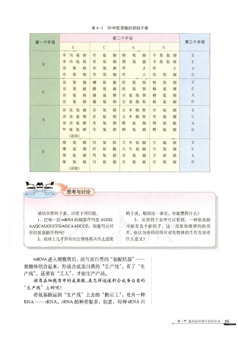 人教版高中生物必修2遗传与进化课本_4-教培资料-26年最新资料-同步更新_初中高中教资_03科三专项（进去保存报考的学科即可）_02科三专项（笔记真题思维导图教学设计版本二）