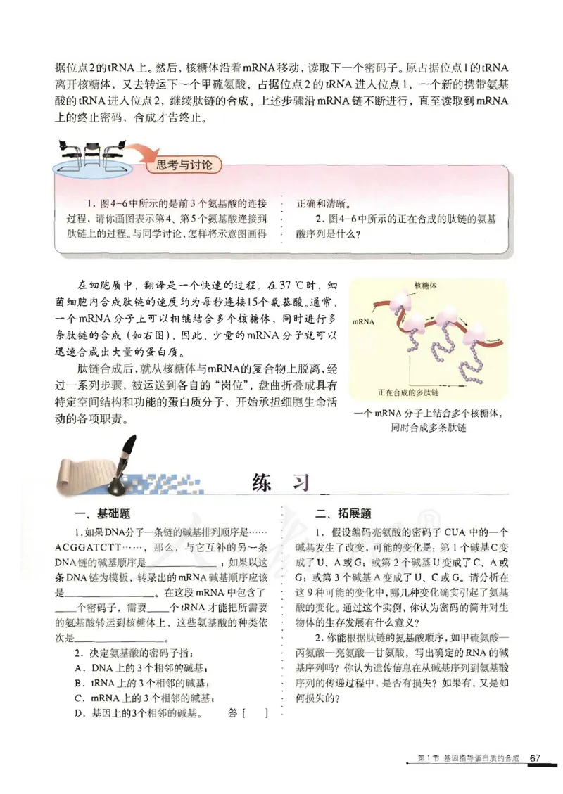 人教版高中生物必修2遗传与进化课本_4-教培资料-26年最新资料-同步更新_初中高中教资_03科三专项（进去保存报考的学科即可）_02科三专项（笔记真题思维导图教学设计版本二）