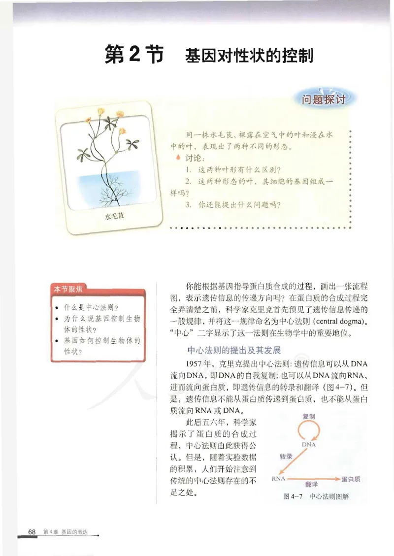 人教版高中生物必修2遗传与进化课本_4-教培资料-26年最新资料-同步更新_初中高中教资_03科三专项（进去保存报考的学科即可）_02科三专项（笔记真题思维导图教学设计版本二）