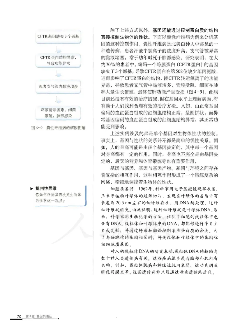 人教版高中生物必修2遗传与进化课本_4-教培资料-26年最新资料-同步更新_初中高中教资_03科三专项（进去保存报考的学科即可）_02科三专项（笔记真题思维导图教学设计版本二）