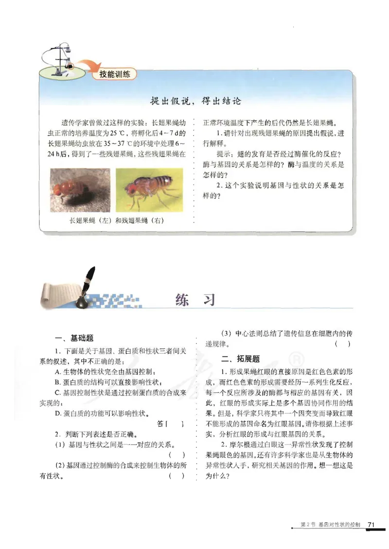 人教版高中生物必修2遗传与进化课本_4-教培资料-26年最新资料-同步更新_初中高中教资_03科三专项（进去保存报考的学科即可）_02科三专项（笔记真题思维导图教学设计版本二）