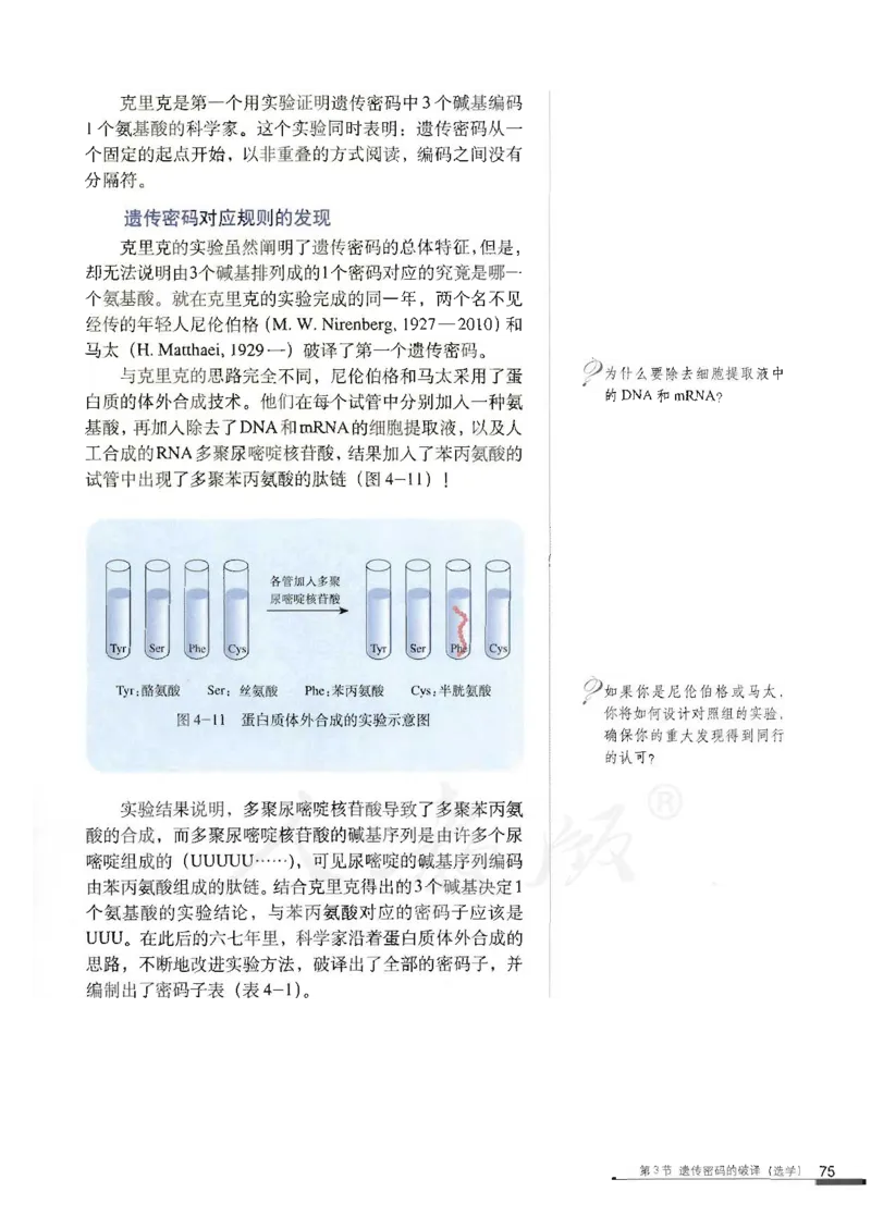 人教版高中生物必修2遗传与进化课本_4-教培资料-26年最新资料-同步更新_初中高中教资_03科三专项（进去保存报考的学科即可）_02科三专项（笔记真题思维导图教学设计版本二）