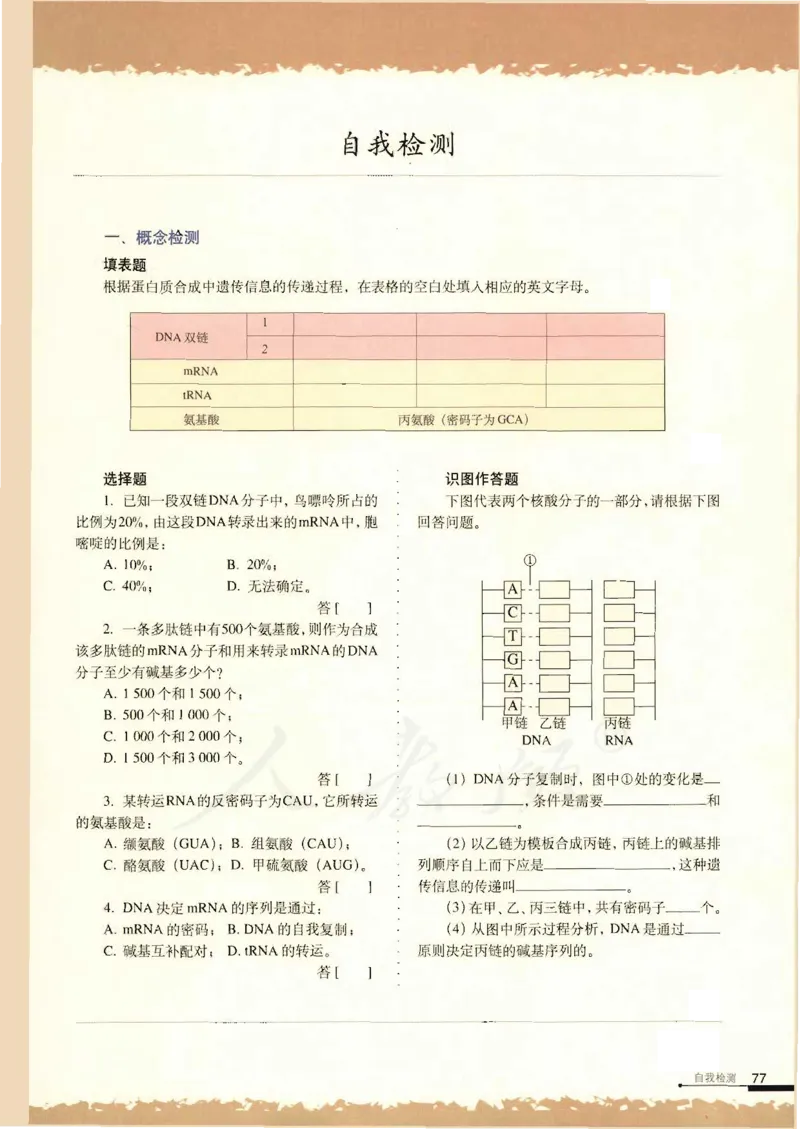 人教版高中生物必修2遗传与进化课本_4-教培资料-26年最新资料-同步更新_初中高中教资_03科三专项（进去保存报考的学科即可）_02科三专项（笔记真题思维导图教学设计版本二）
