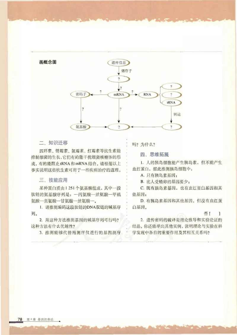 人教版高中生物必修2遗传与进化课本_4-教培资料-26年最新资料-同步更新_初中高中教资_03科三专项（进去保存报考的学科即可）_02科三专项（笔记真题思维导图教学设计版本二）