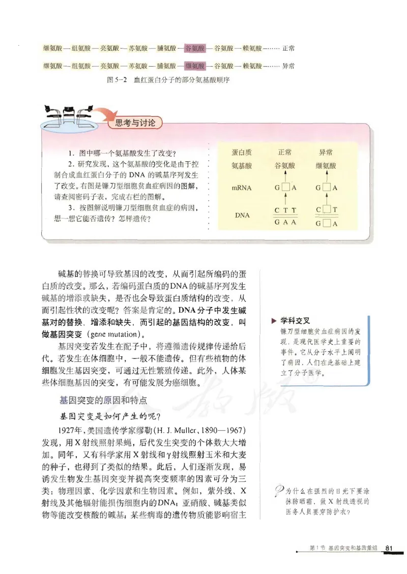 人教版高中生物必修2遗传与进化课本_4-教培资料-26年最新资料-同步更新_初中高中教资_03科三专项（进去保存报考的学科即可）_02科三专项（笔记真题思维导图教学设计版本二）
