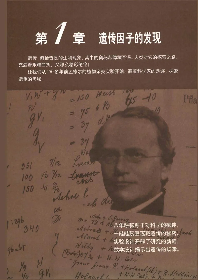 人教版高中生物必修2遗传与进化课本_4-教培资料-26年最新资料-同步更新_初中高中教资_03科三专项（进去保存报考的学科即可）_02科三专项（笔记真题思维导图教学设计版本二）