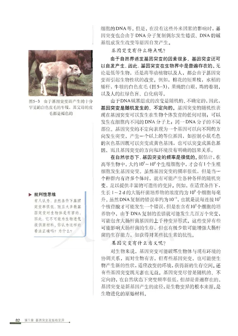 人教版高中生物必修2遗传与进化课本_4-教培资料-26年最新资料-同步更新_初中高中教资_03科三专项（进去保存报考的学科即可）_02科三专项（笔记真题思维导图教学设计版本二）