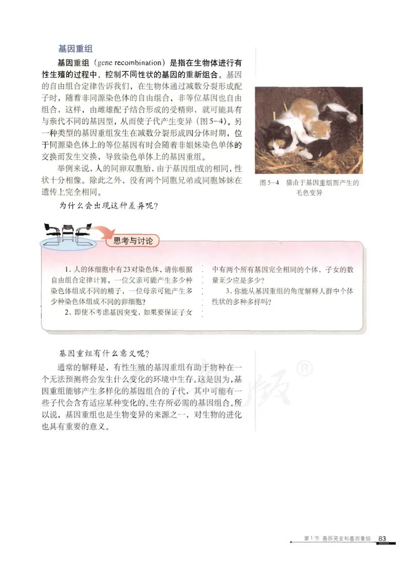 人教版高中生物必修2遗传与进化课本_4-教培资料-26年最新资料-同步更新_初中高中教资_03科三专项（进去保存报考的学科即可）_02科三专项（笔记真题思维导图教学设计版本二）