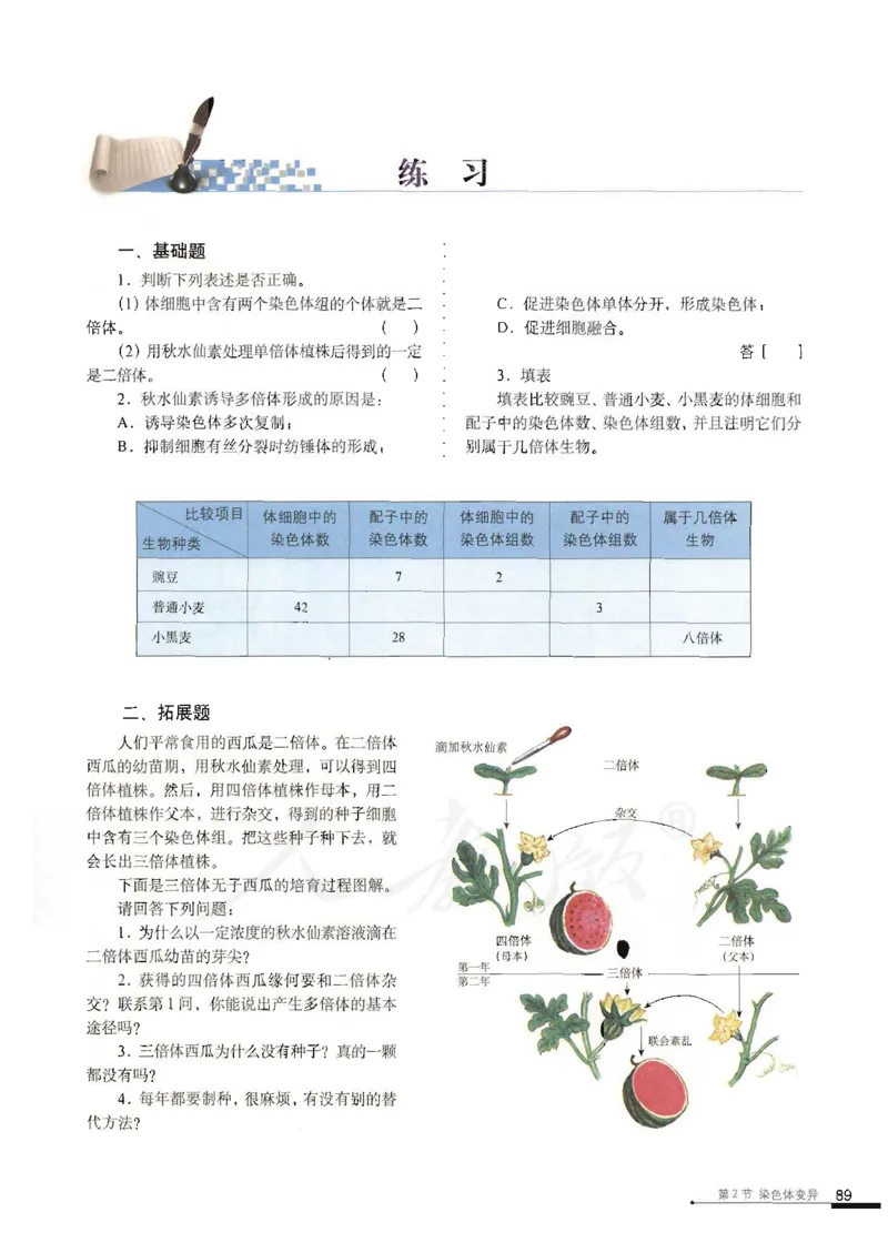 人教版高中生物必修2遗传与进化课本_4-教培资料-26年最新资料-同步更新_初中高中教资_03科三专项（进去保存报考的学科即可）_02科三专项（笔记真题思维导图教学设计版本二）