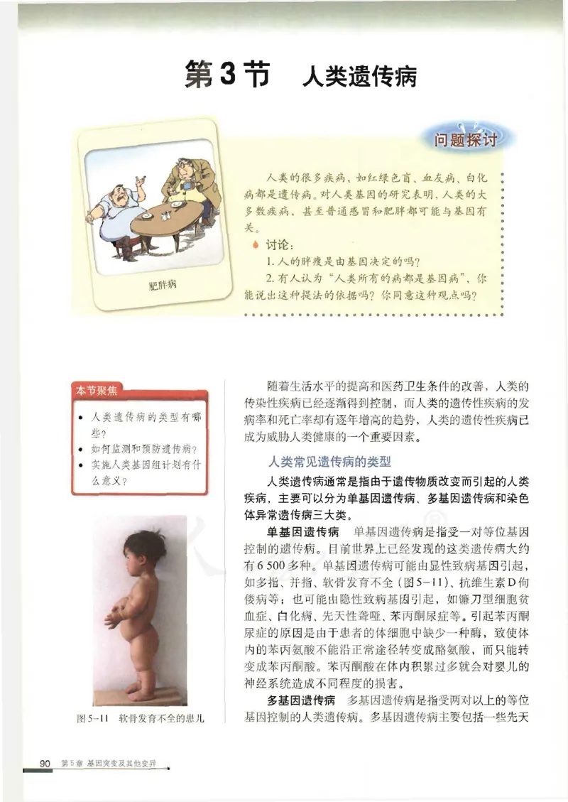 人教版高中生物必修2遗传与进化课本_4-教培资料-26年最新资料-同步更新_初中高中教资_03科三专项（进去保存报考的学科即可）_02科三专项（笔记真题思维导图教学设计版本二）