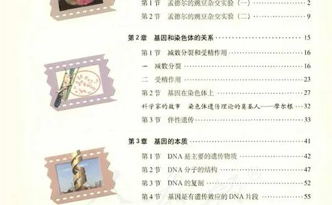 人教版高中生物必修2遗传与进化课本_4-教培资料-26年最新资料-同步更新_初中高中教资_03科三专项（进去保存报考的学科即可）_02科三专项（笔记真题思维导图教学设计版本二）