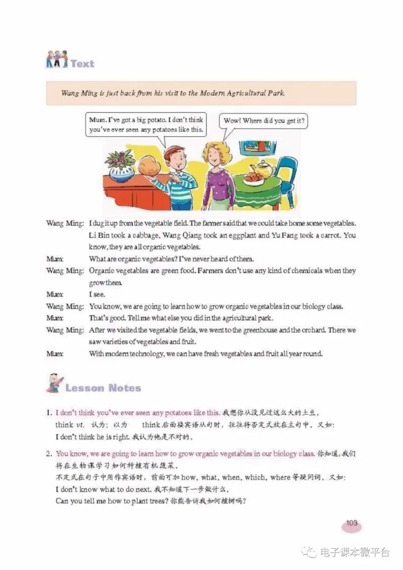 八年级上册英语上海新世纪版电子课本_4-教培资料-26年最新资料-同步更新_初中高中教资_03科三专项（进去保存报考的学科即可）_02科三专项（笔记真题思维导图教学设计版本二）