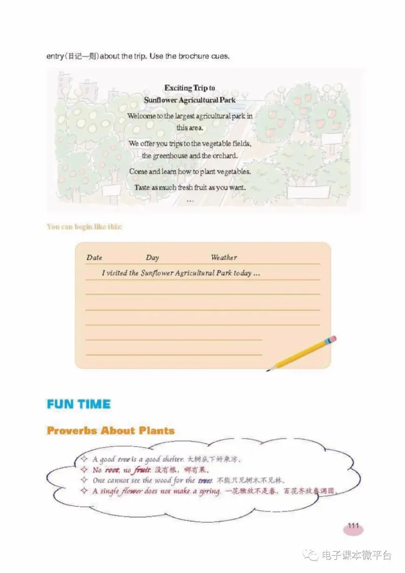 八年级上册英语上海新世纪版电子课本_4-教培资料-26年最新资料-同步更新_初中高中教资_03科三专项（进去保存报考的学科即可）_02科三专项（笔记真题思维导图教学设计版本二）