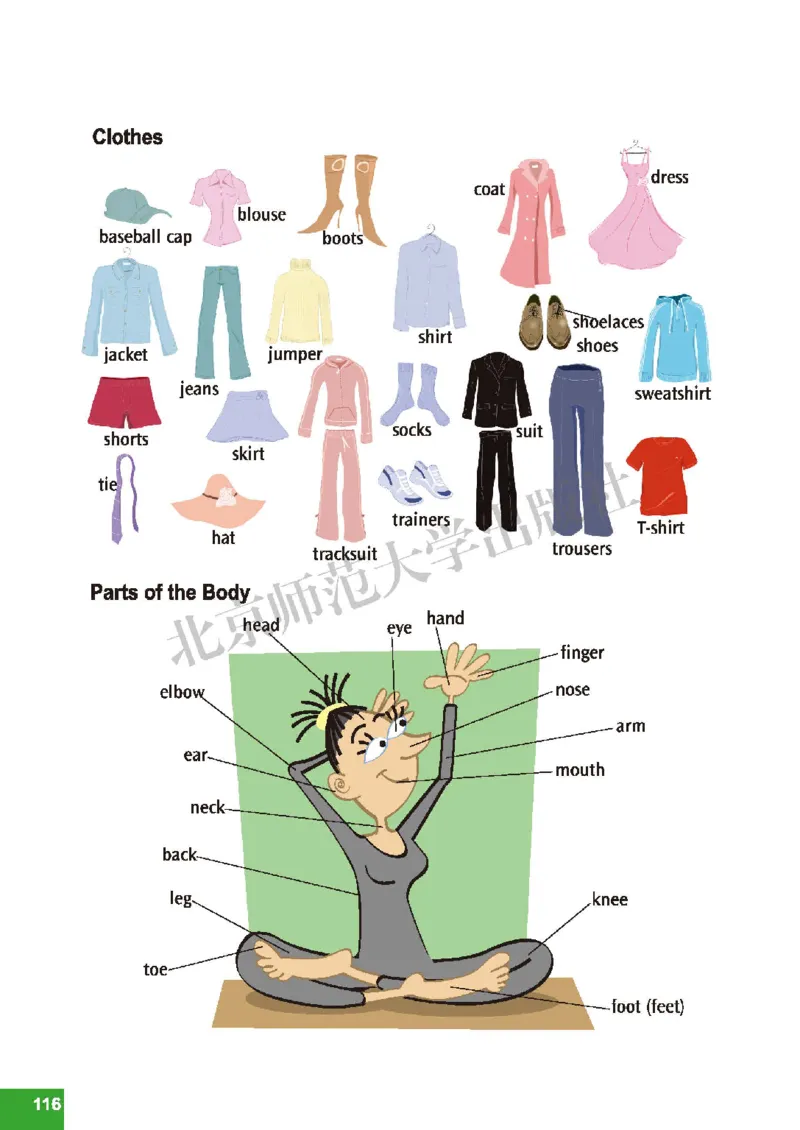 北师大7年级英语下册高清教材_4-教培资料-26年最新资料-同步更新_初中高中教资_03科三专项（进去保存报考的学科即可）_02科三专项（笔记真题思维导图教学设计版本二）