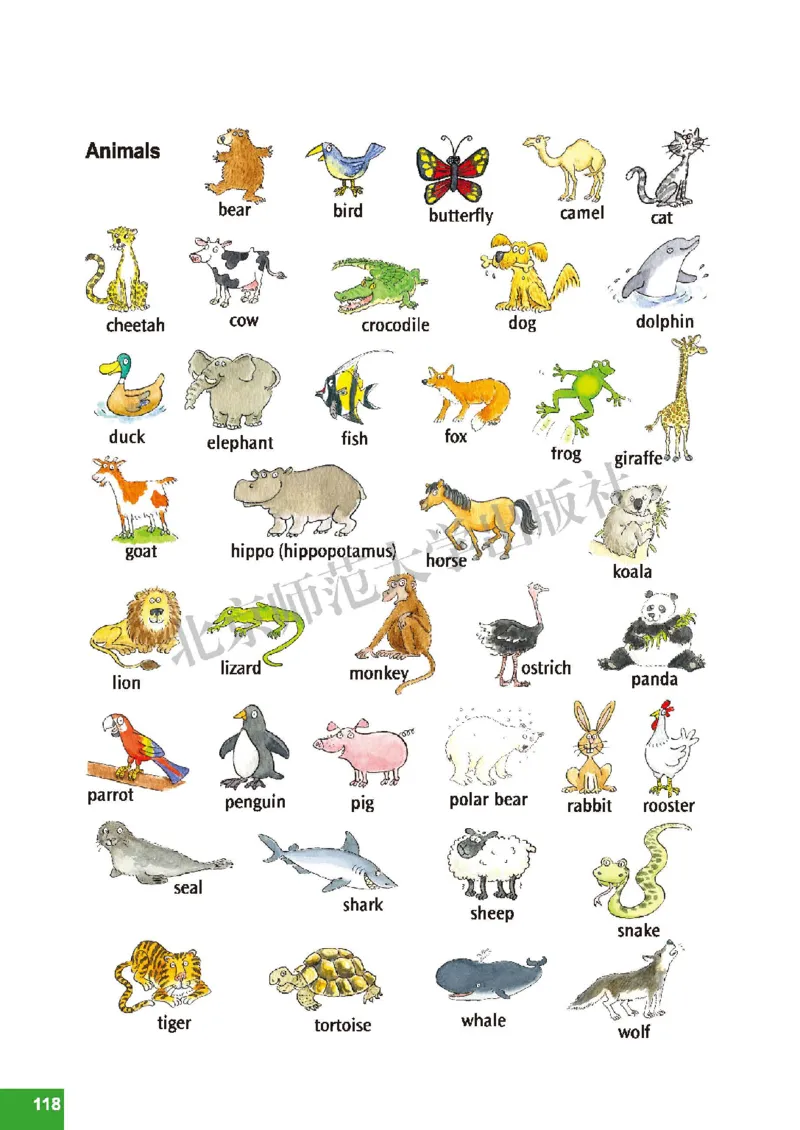 北师大7年级英语下册高清教材_4-教培资料-26年最新资料-同步更新_初中高中教资_03科三专项（进去保存报考的学科即可）_02科三专项（笔记真题思维导图教学设计版本二）