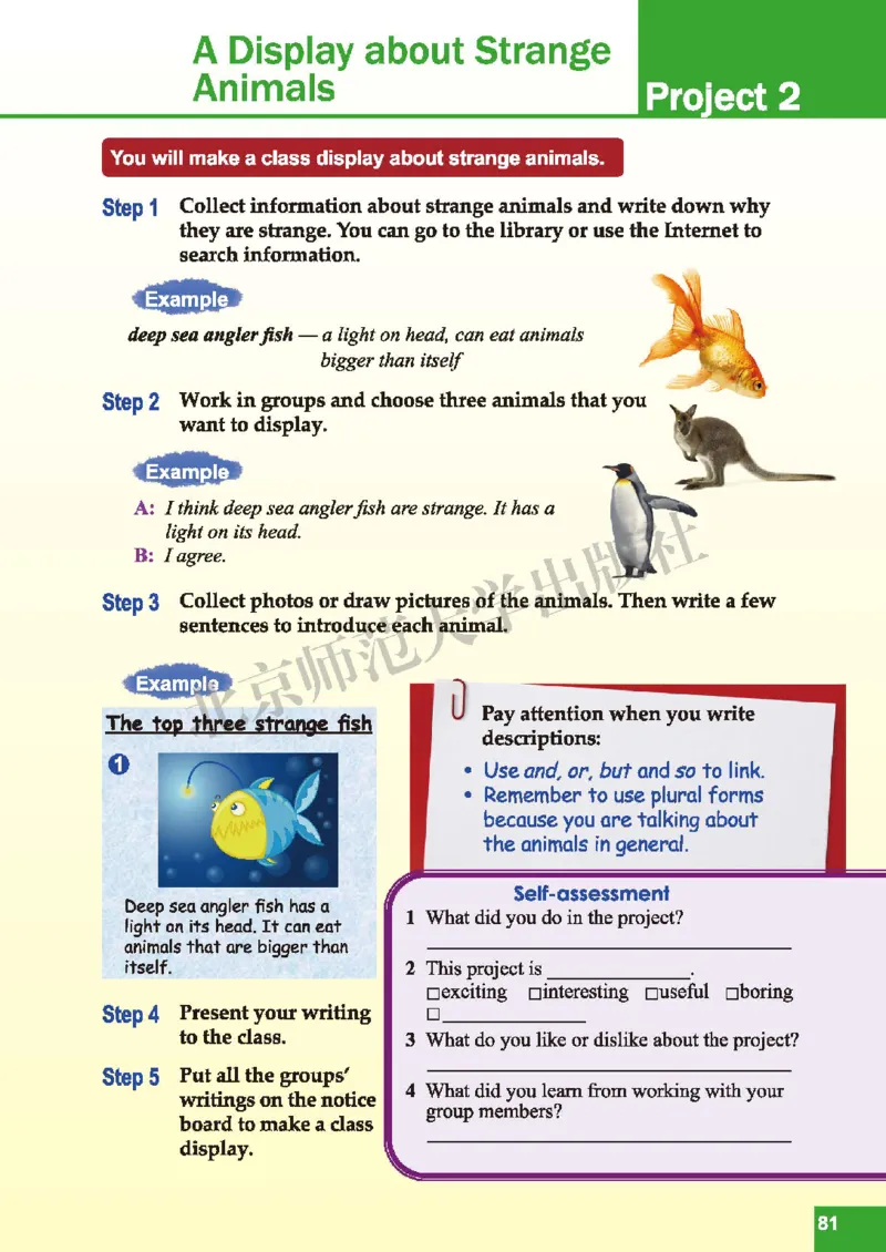 北师大7年级英语下册高清教材_4-教培资料-26年最新资料-同步更新_初中高中教资_03科三专项（进去保存报考的学科即可）_02科三专项（笔记真题思维导图教学设计版本二）