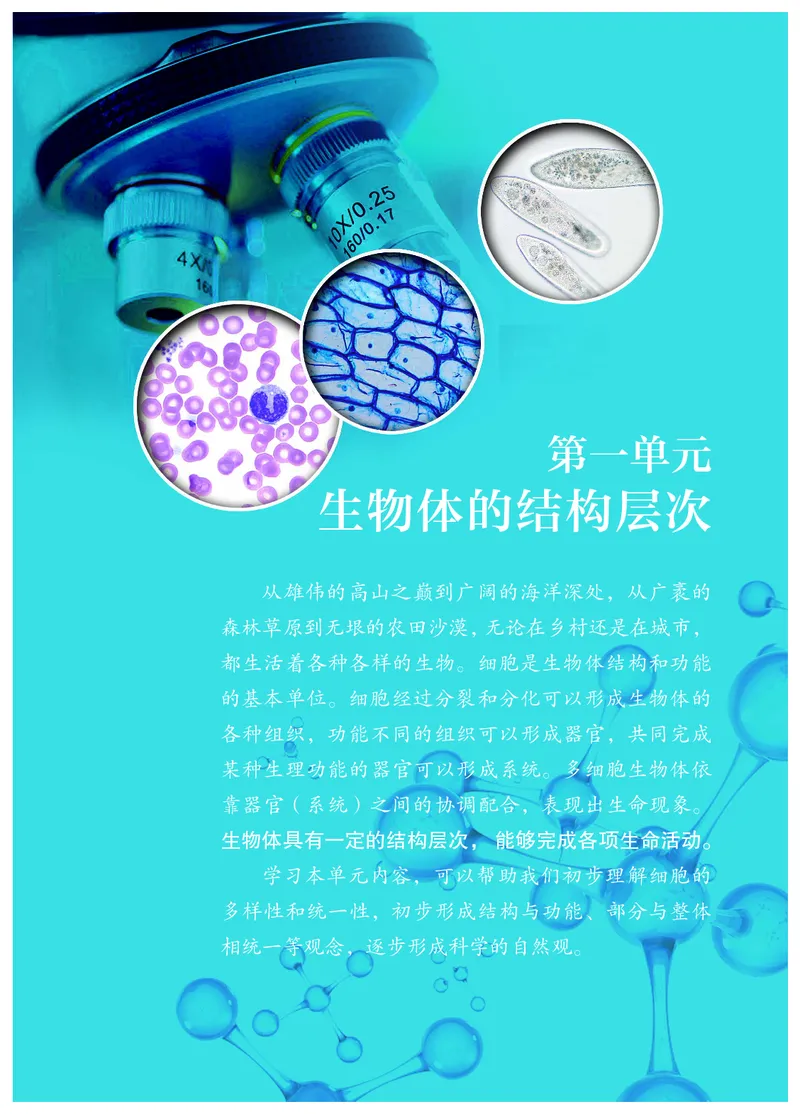 冀少版7年级生物上册高清教材_4-教培资料-26年最新资料-同步更新_初中高中教资_03科三专项（进去保存报考的学科即可）_02科三专项（笔记真题思维导图教学设计版本二）