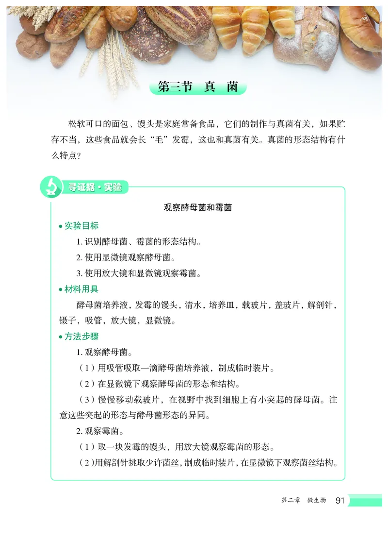 冀少版7年级生物上册高清教材_4-教培资料-26年最新资料-同步更新_初中高中教资_03科三专项（进去保存报考的学科即可）_02科三专项（笔记真题思维导图教学设计版本二）