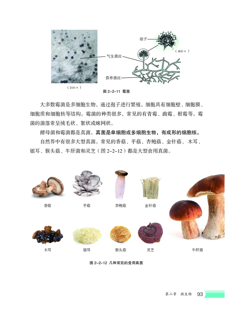 冀少版7年级生物上册高清教材_4-教培资料-26年最新资料-同步更新_初中高中教资_03科三专项（进去保存报考的学科即可）_02科三专项（笔记真题思维导图教学设计版本二）