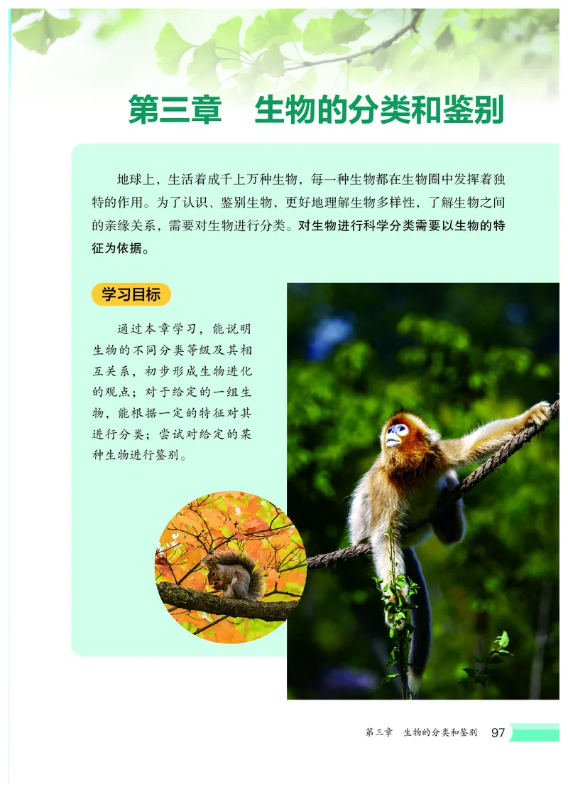 冀少版7年级生物上册高清教材_4-教培资料-26年最新资料-同步更新_初中高中教资_03科三专项（进去保存报考的学科即可）_02科三专项（笔记真题思维导图教学设计版本二）