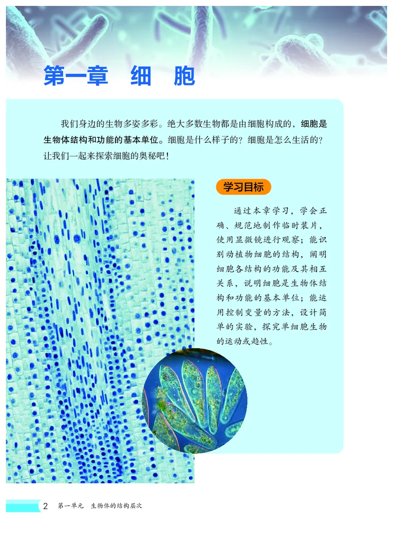 冀少版7年级生物上册高清教材_4-教培资料-26年最新资料-同步更新_初中高中教资_03科三专项（进去保存报考的学科即可）_02科三专项（笔记真题思维导图教学设计版本二）