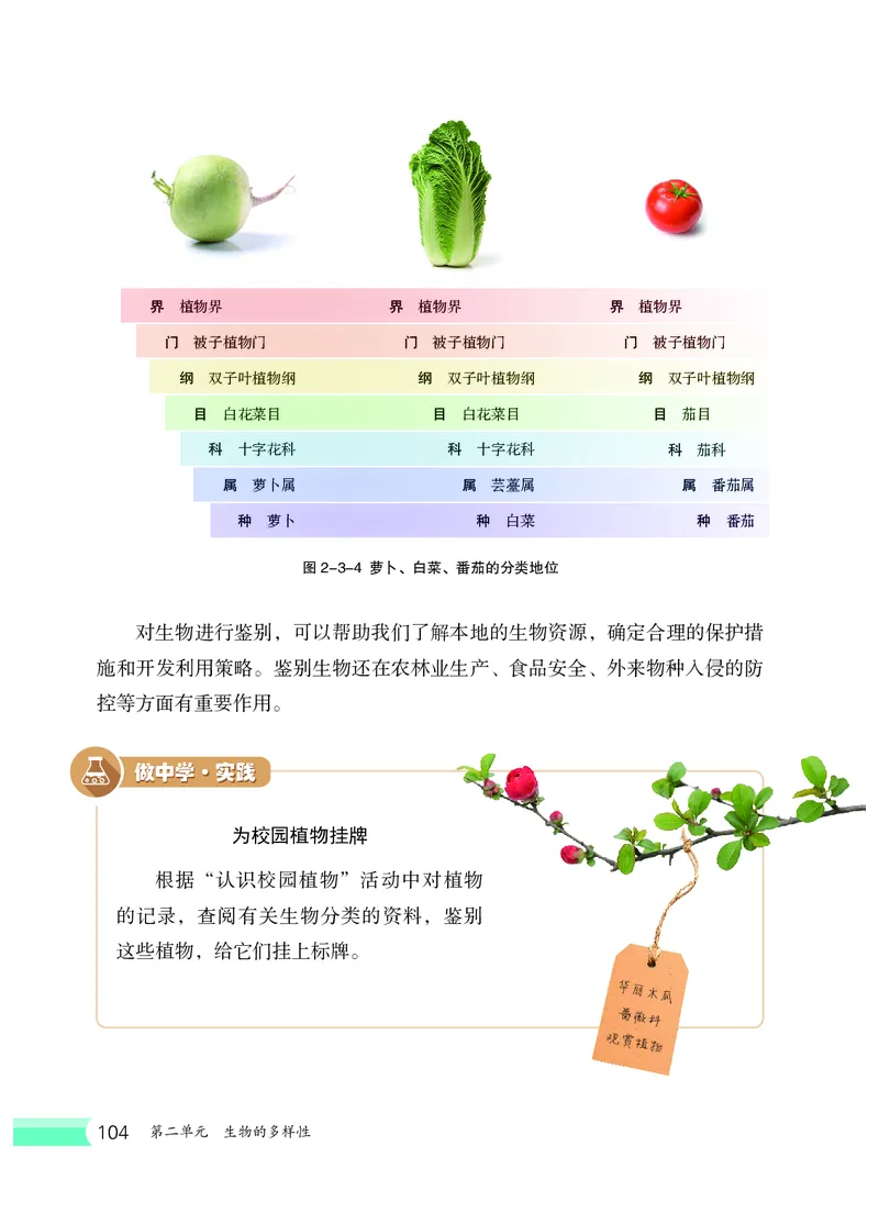 冀少版7年级生物上册高清教材_4-教培资料-26年最新资料-同步更新_初中高中教资_03科三专项（进去保存报考的学科即可）_02科三专项（笔记真题思维导图教学设计版本二）