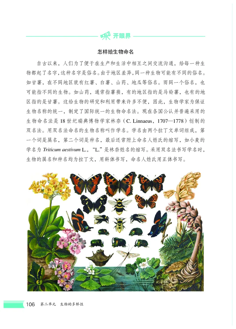 冀少版7年级生物上册高清教材_4-教培资料-26年最新资料-同步更新_初中高中教资_03科三专项（进去保存报考的学科即可）_02科三专项（笔记真题思维导图教学设计版本二）