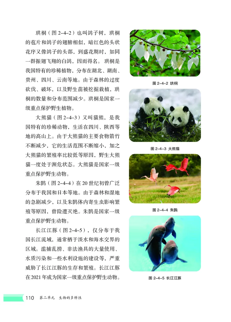 冀少版7年级生物上册高清教材_4-教培资料-26年最新资料-同步更新_初中高中教资_03科三专项（进去保存报考的学科即可）_02科三专项（笔记真题思维导图教学设计版本二）