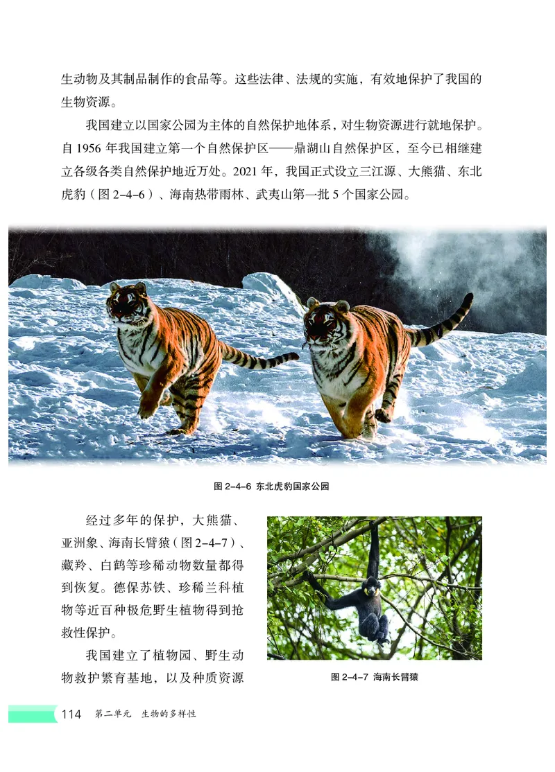 冀少版7年级生物上册高清教材_4-教培资料-26年最新资料-同步更新_初中高中教资_03科三专项（进去保存报考的学科即可）_02科三专项（笔记真题思维导图教学设计版本二）