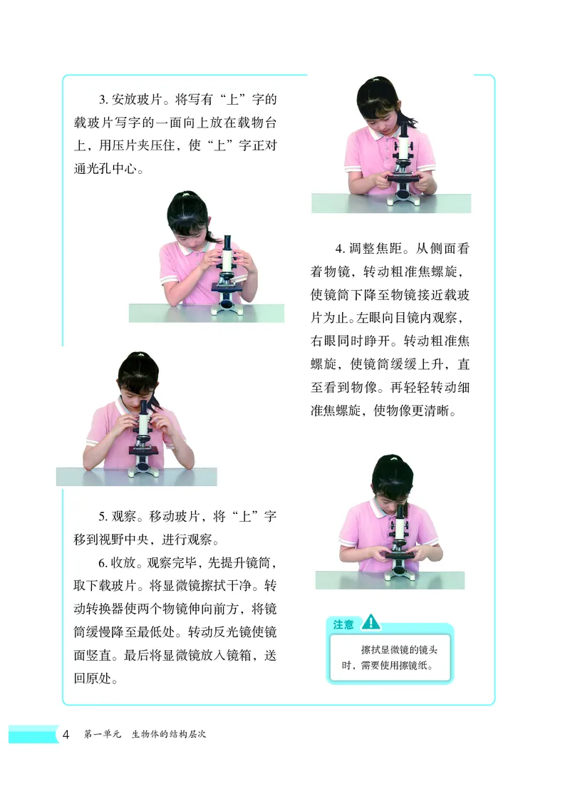 冀少版7年级生物上册高清教材_4-教培资料-26年最新资料-同步更新_初中高中教资_03科三专项（进去保存报考的学科即可）_02科三专项（笔记真题思维导图教学设计版本二）