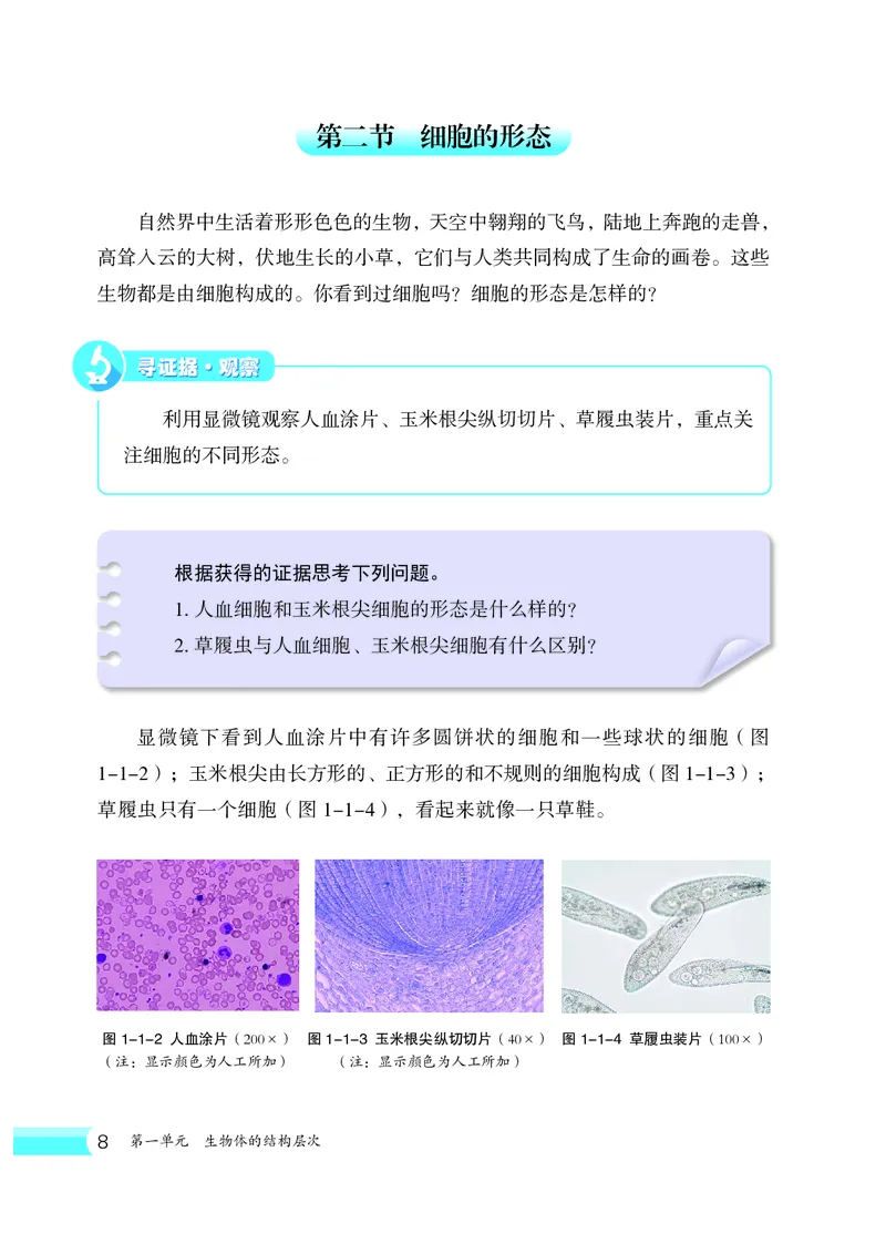 冀少版7年级生物上册高清教材_4-教培资料-26年最新资料-同步更新_初中高中教资_03科三专项（进去保存报考的学科即可）_02科三专项（笔记真题思维导图教学设计版本二）