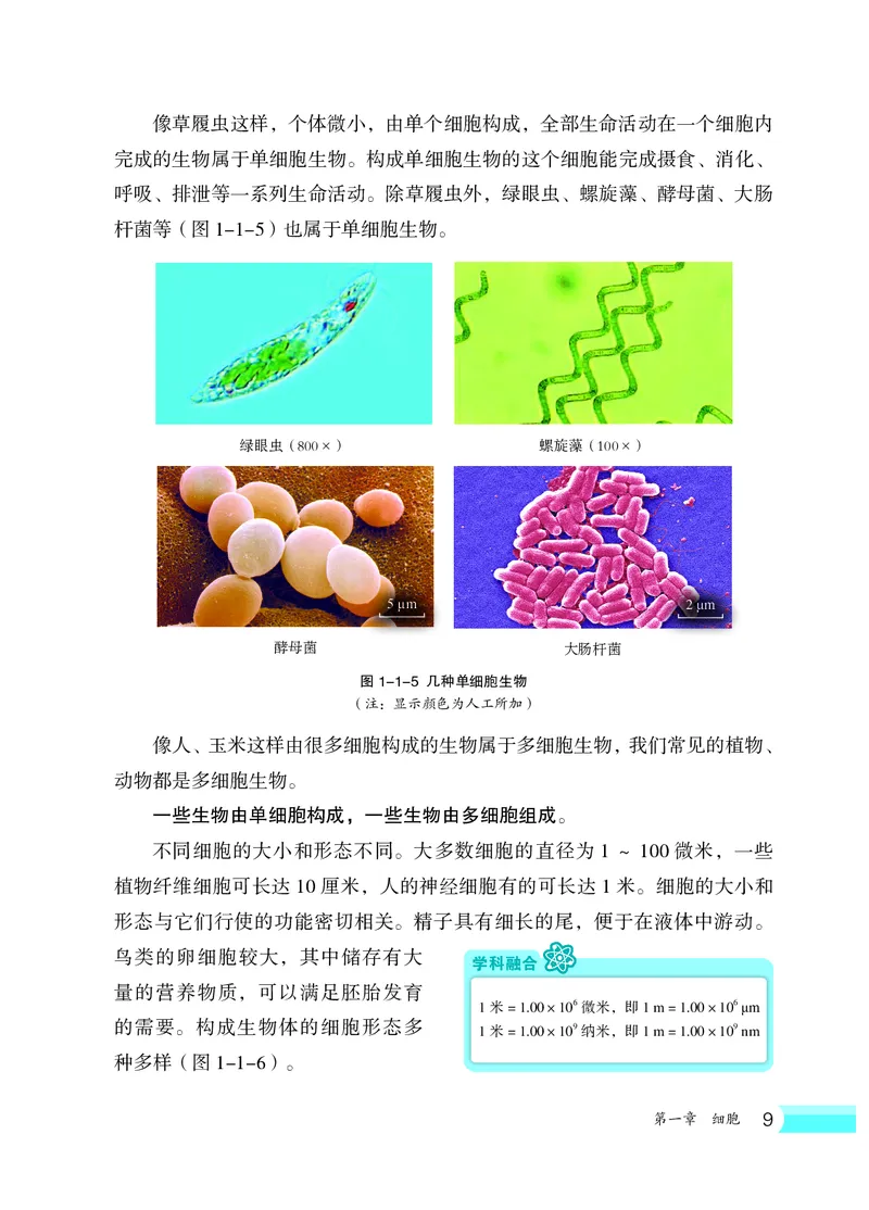 冀少版7年级生物上册高清教材_4-教培资料-26年最新资料-同步更新_初中高中教资_03科三专项（进去保存报考的学科即可）_02科三专项（笔记真题思维导图教学设计版本二）