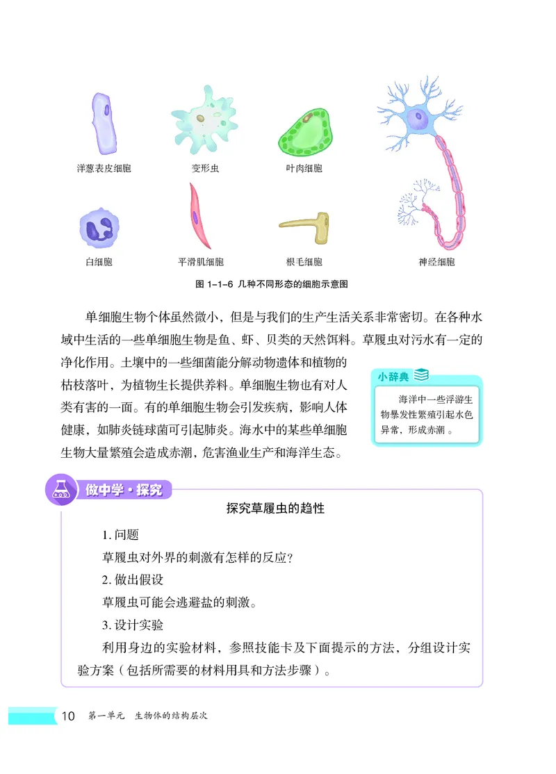冀少版7年级生物上册高清教材_4-教培资料-26年最新资料-同步更新_初中高中教资_03科三专项（进去保存报考的学科即可）_02科三专项（笔记真题思维导图教学设计版本二）