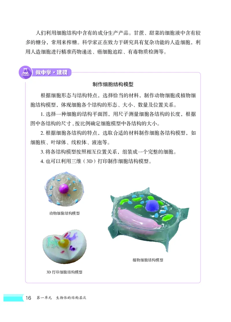 冀少版7年级生物上册高清教材_4-教培资料-26年最新资料-同步更新_初中高中教资_03科三专项（进去保存报考的学科即可）_02科三专项（笔记真题思维导图教学设计版本二）